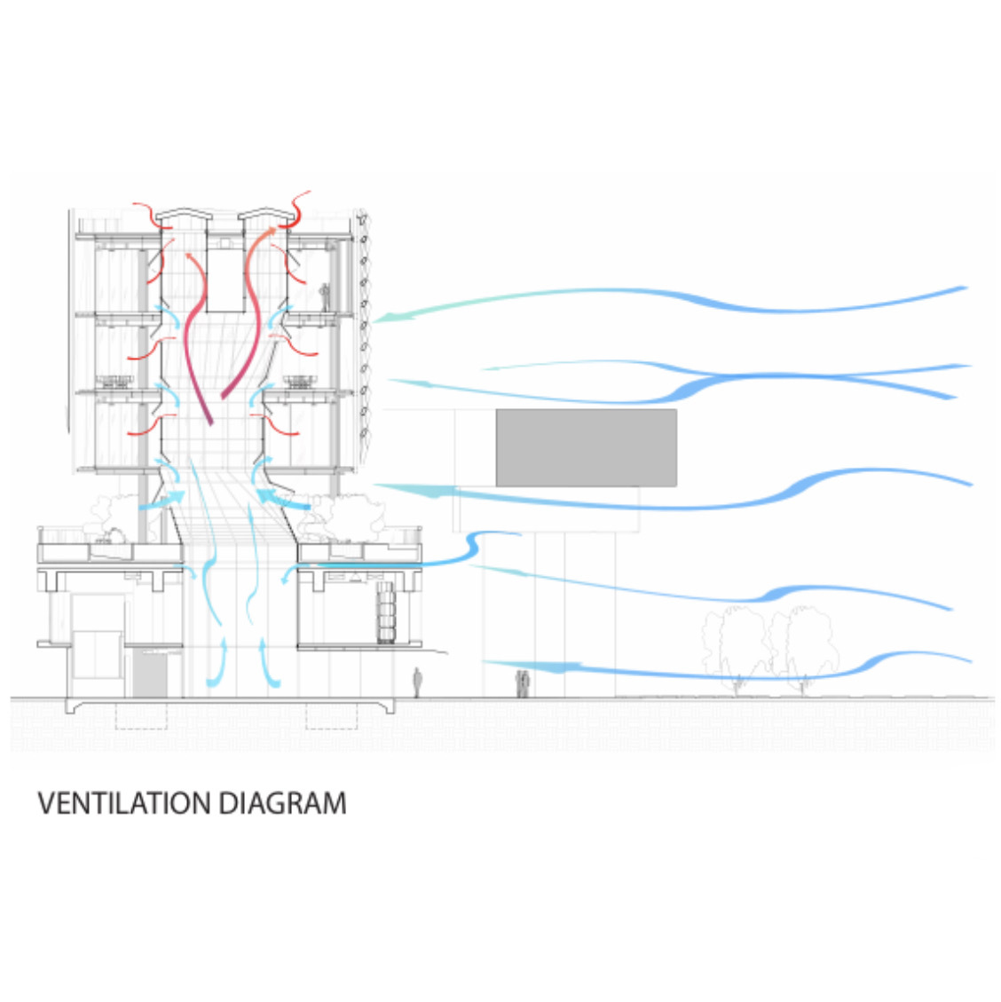 Skinny Martini Distillery - Image 9