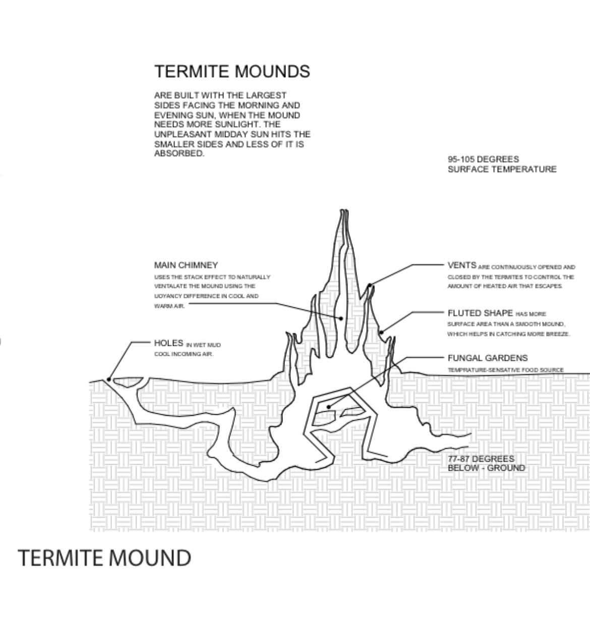 Skinny Martini Distillery - Image 10